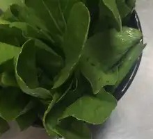 Chicken Greens