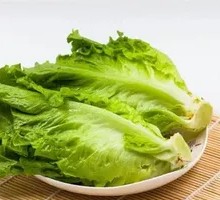 Lettuce