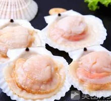 Scallop
