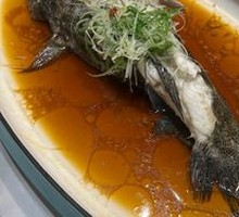 Steamed Snakehead Fish