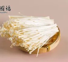 Enoki Mushroom