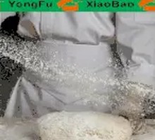 Freshly Fermented Dough