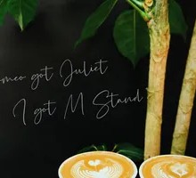 Purple Assortment with Australian White