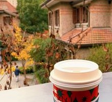 Vanilla Flavored Flat White