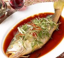 East China Sea Yellow Croaker