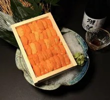 Sea Urchin in Wooden Box