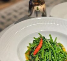 Flying Heaven Green Vegetable