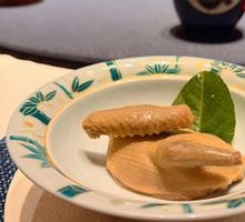 Saltwater-Soaked Young Pigeon