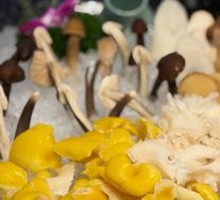 Mixed Wild Mushroom Platter
