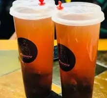 Love Under the Hawthorn Tree