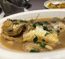 Large Yellow Croaker