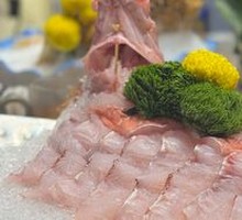 Golden Threadfin Bream