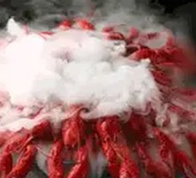 Premium Ice-Cold Lobster