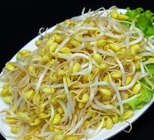 Mung Bean Sprouts