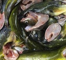 Braised River Fish Mix