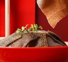 Wu Family Crisp Tripe