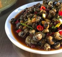 Spicy Snail