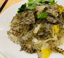 Fish Skin
