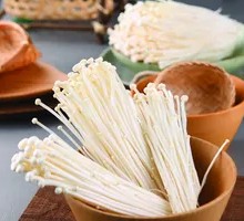 Enoki Mushroom