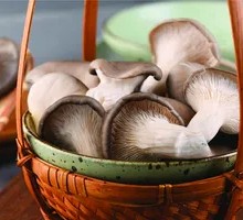 Enoki Mushroom