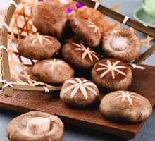 Shiitake Mushroom
