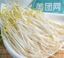 Mung Bean Sprouts