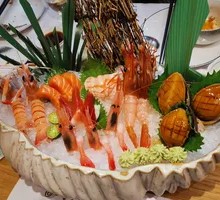 Sashimi