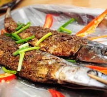 Sardine