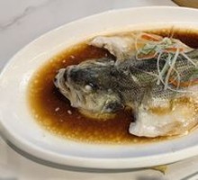 Steamed Fresh Sea Bass