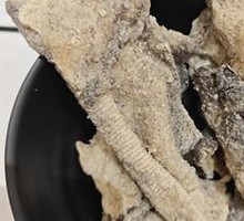 Fried Fish Skin