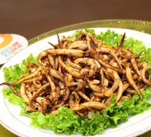 Cumin Squid