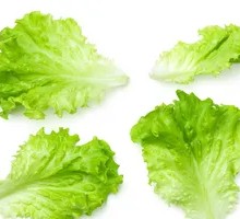 Lettuce
