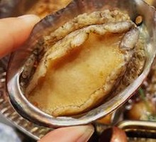 Abalone