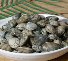 Clam