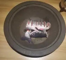 Catfish