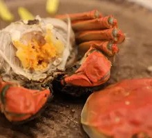 Freshwater Crab