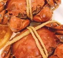 Female Crab