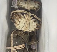 Male Crab