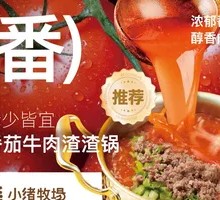 Tomato and Beef Stew Pot