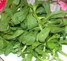 Penghao Vegetable