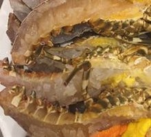 小青龙