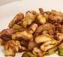 Spicy Squid