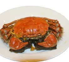 Steamed Male Crab