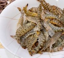Giant Tiger Prawn