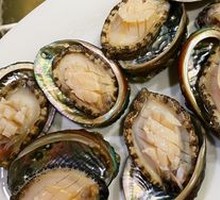 Eight-Head Abalone