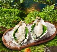 Oyster