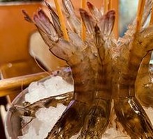 Prawn