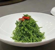 Ecological Noodle Vegetable