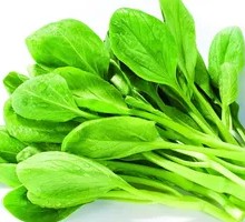 Chicken Greens