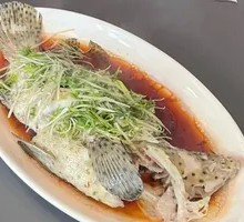 Steamed Yellow Croaker